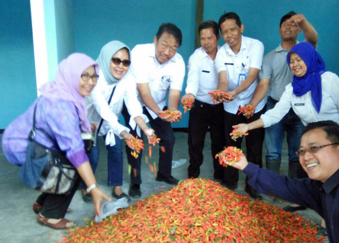 Spudnik Sujono Pastikan Produksi Aneka Cabai Surplus Hingga Oktober 2017